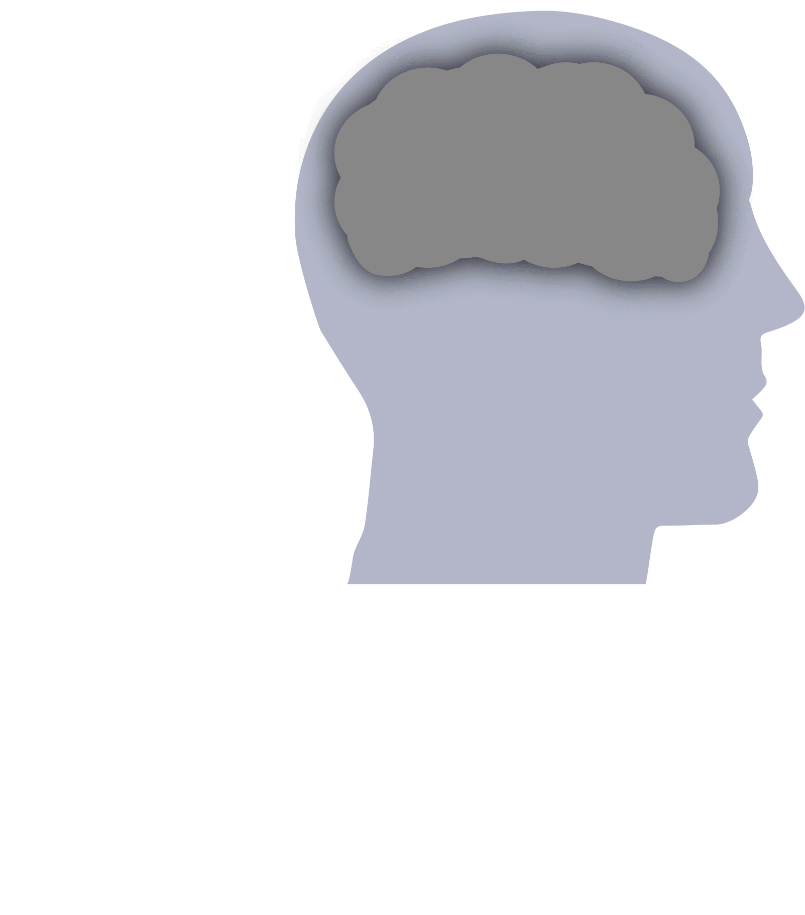Cerveau-GIF Adoka application intelligence fonctionnelles